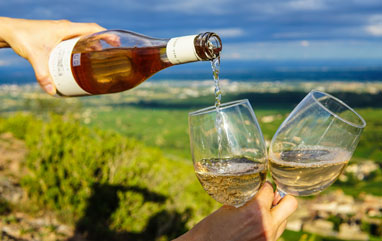 Tips On Choosing Your Next Bottle Of Wine