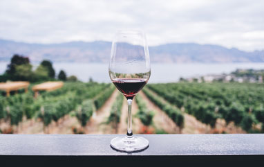 Choosing The Right Type Of Wine